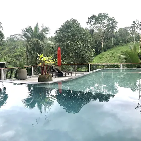 Ubud Paras Villa-2